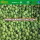 high quality new season snow peas carton packing