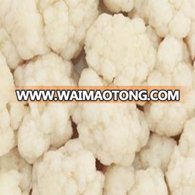 Wholesale IQF Frozen vegetable in bulk Frozen cauliflower from China