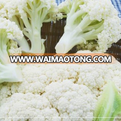 2017 High-quality bulk and grade A Frozen cauliflower