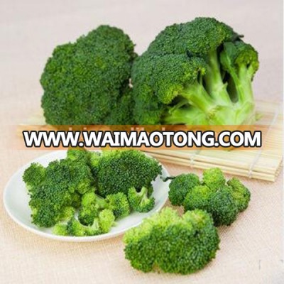 Chinese frozen vegetable,Price of Frozen/IQF broccoli florets