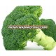 Wholesales bulk clean frozen fresh brands broccoli price