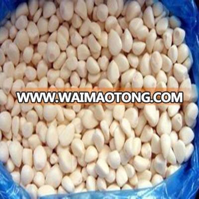 China cheap diced freezing garlic/organic frozen garlic