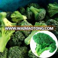 Wholesale Frozen Fresh Green Broccoli