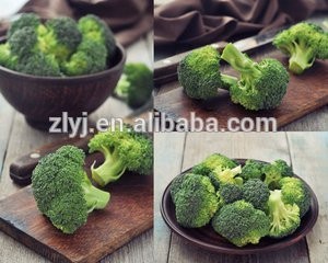 IQF frozen bulk broccoli vegetables of zhongliang