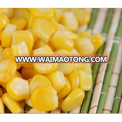 IQF Chinese fresh high quality sweet corn with competitive price