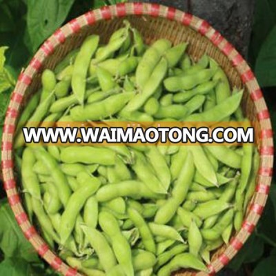 Offer Iqf Frozen Soybeans from crop 2017 with best price