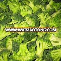 IQF frozen broccoli,broccoli frozen for New Crop Top Quality