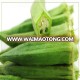 Exporting IQF Frozen okra cuts good price supply