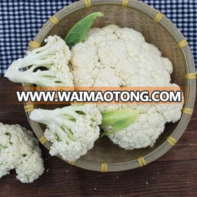 Wholesale Bulk Hot Selling Best Price Frozen Vegetable Frozen Fresh cauliflower